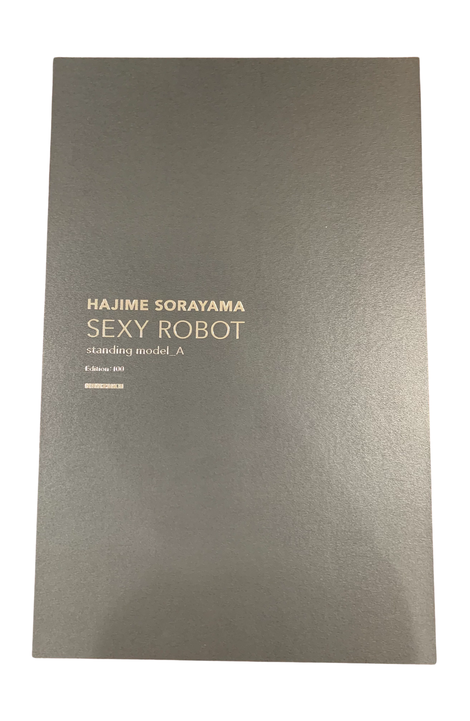 Hajime Sorayama Sexy Robot Standing Model A Sculpture