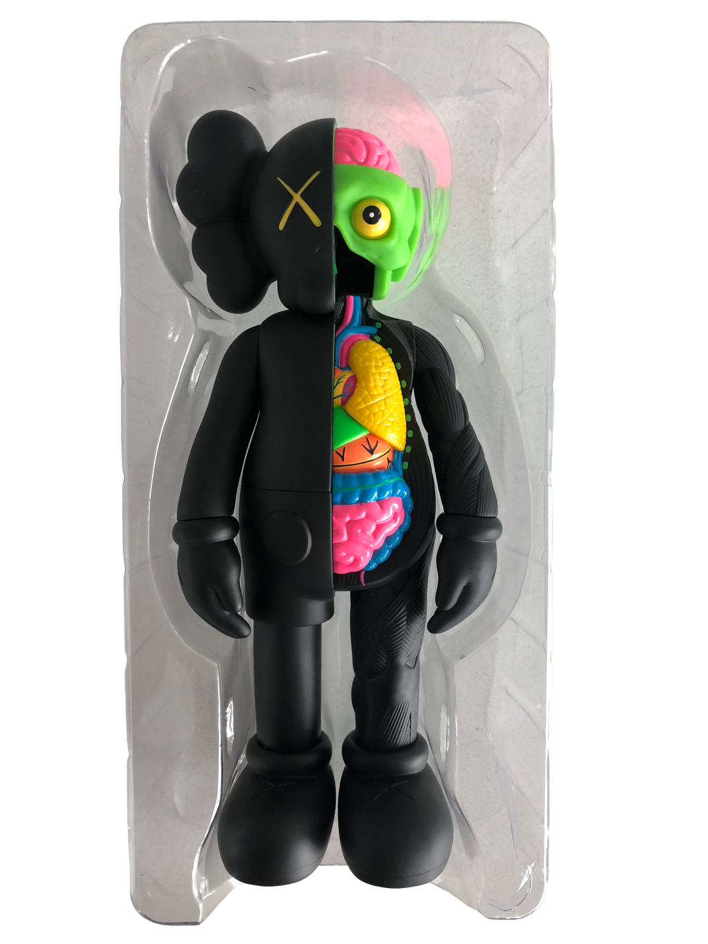 IMG_3802-removebg_1024x.png?v=