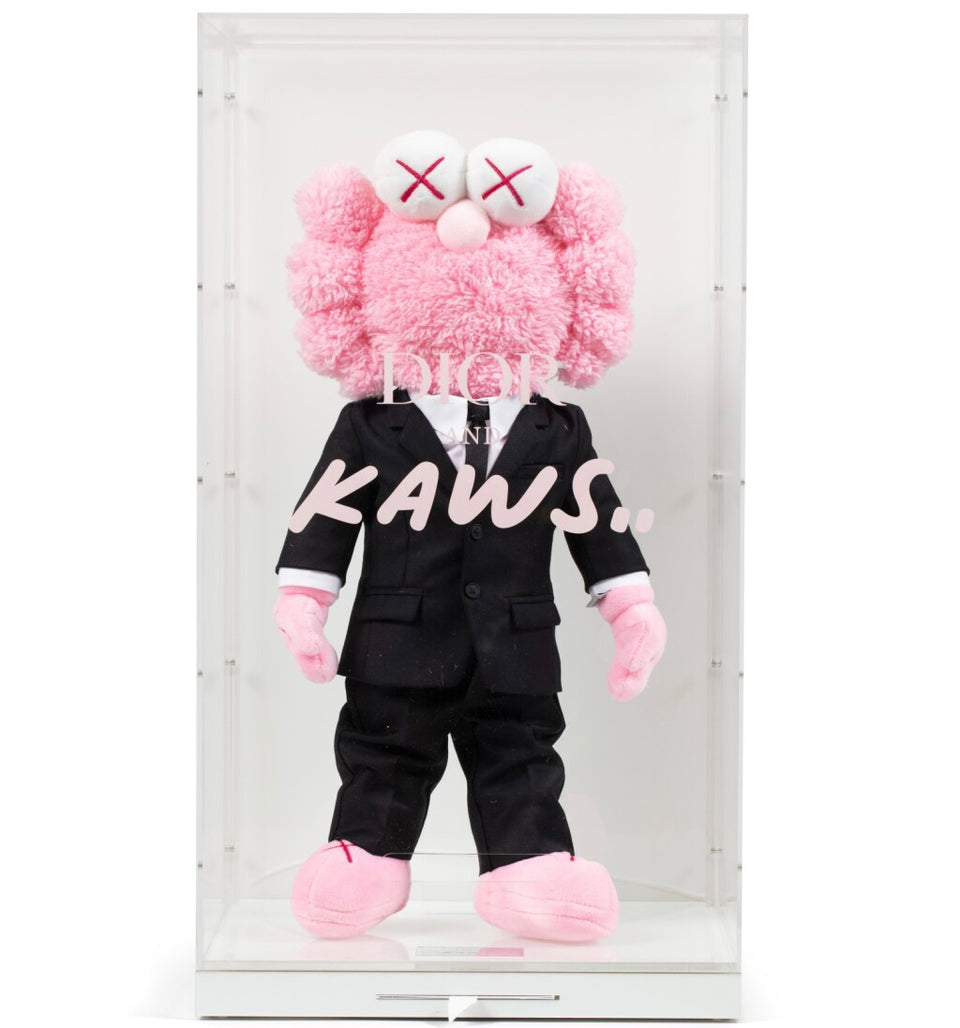 KAWS Dior BFF Plush Pink