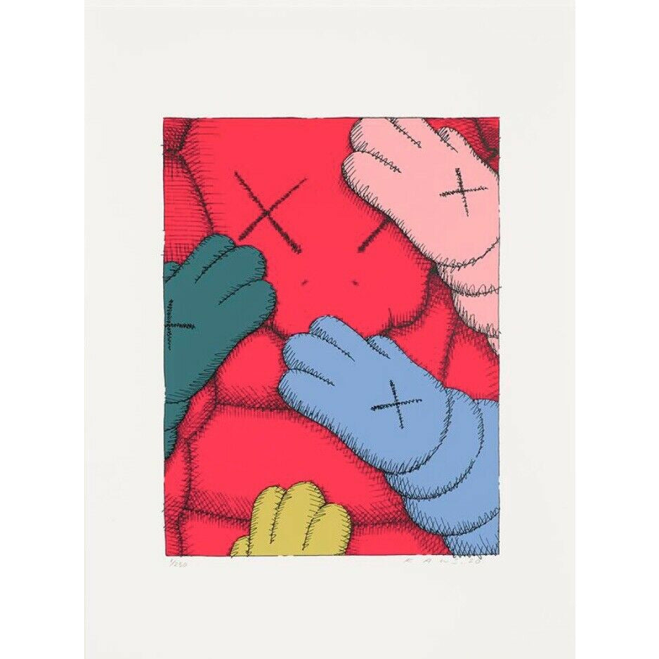 KAWS Urge #10 Pink Print