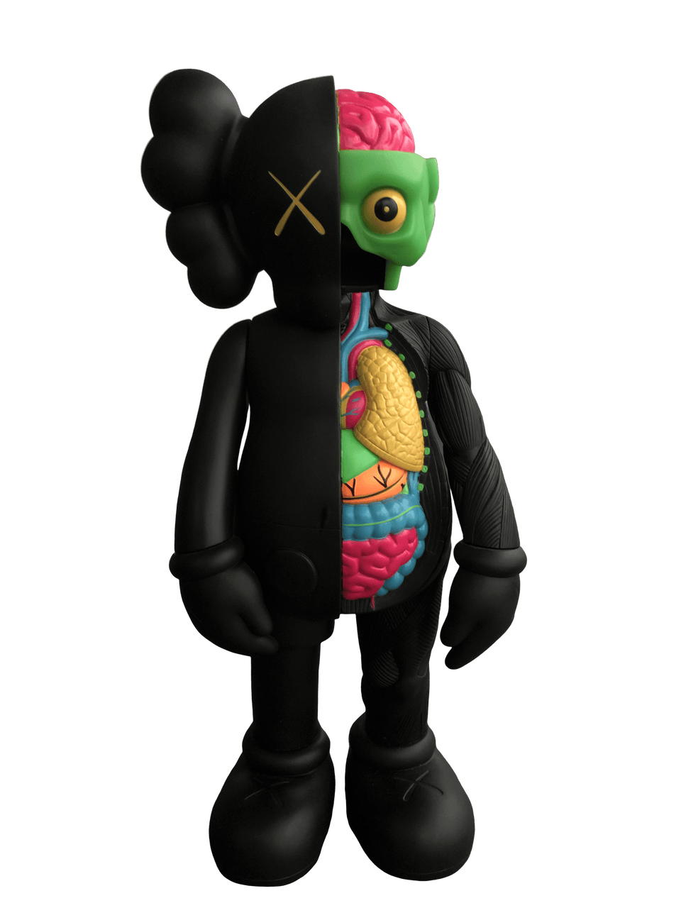 Kaws half dissected 2025